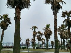 -瑶湖郊野森林公园