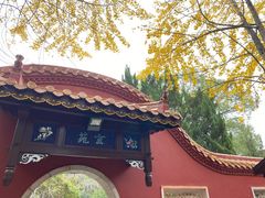 -南岳大庙