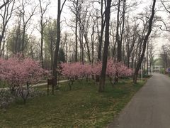 顺鑫绿色度假村贵宾楼-顺鑫绿色度假村