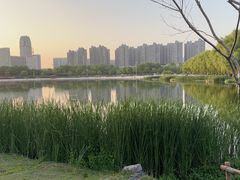 -滨湖塘西河公园