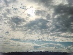 -武陵山森林公园