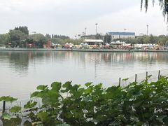 -朝阳公园游乐园