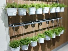 -鹿岛会员店 (龙湖三千集天街店)