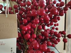 -梅花境(万科店)