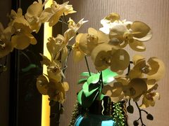 -浅深(世茂滨江精品店)