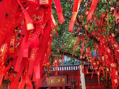 -国恩寺