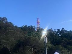 -福道