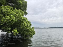 -浙江省博物馆(孤山馆区)