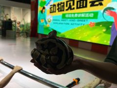 -上海大自然野生昆虫馆(东方明珠·爬宠昆虫探索中心)