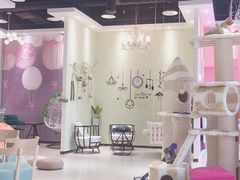 -藏猫猫咖啡主题馆(中央大道店)