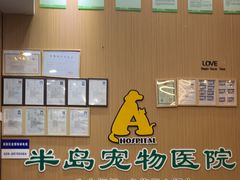 -半岛宠物医院24小时·内窥镜·牙科·碎石中心(府城大道店)