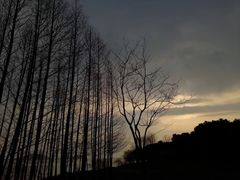-上海市保健医疗中心(华东疗养院)