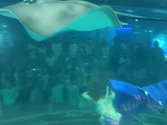 -苏州海洋馆