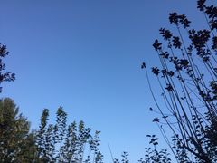 -南京金牛湖风景区