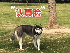 -久宴·天目湖大鱼头(恐龙园店)