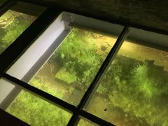 -东关历史文化旅游区-东门遗址