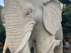 -华雅花园大酒店