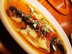 -老江南春·中国龙菜(衡山路店)
