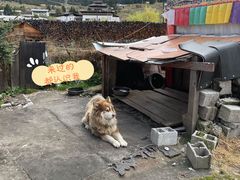 -鲁朗纳麦石锅鸡庄园