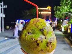 -杨梅坑