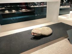 -金沙遗址博物馆