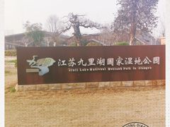 -九里湖国家湿地公园