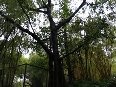 -晓港公园
