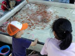 -白塘生态植物园