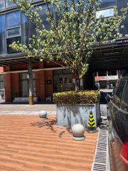 -星宝贝儿童摄影