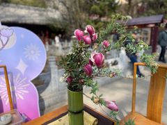 -潭柘寺景区