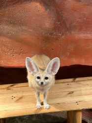 -Zoolung Zoolung动物主题公园(海信广场店)