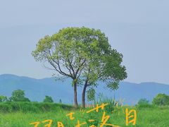 -良渚古城遗址公园