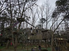 -昆山城市生态森林公园