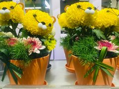 -鹿岛生活(熙地港店)