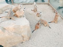 -广州融创文旅城