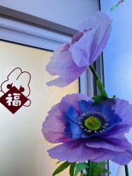 -北京爱育华医院-医疗美容科