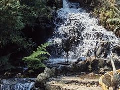 -龙门水都景区