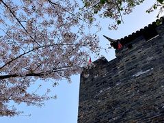 -枫桥景区