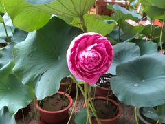 -聚福宝合苑食府(南头镇店)