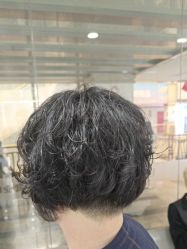 -镁连社·美联社