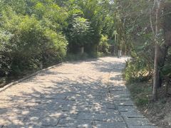 -南翠屏公园