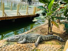 -石家庄市动物园