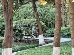 -绵阳人民公园(涪城区)