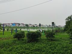 -渌洋湖湿地公园