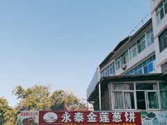 -金莲葱饼店