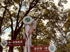 -昆明动物园