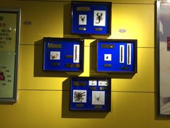 -上海昆虫博物馆