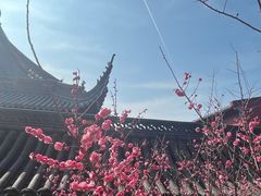 -上海财神庙
