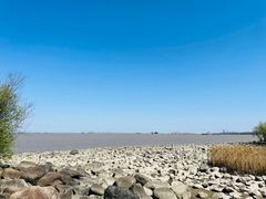 -上海吴淞炮台湾国家湿地公园