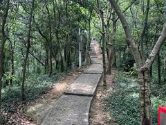 -上海佘山国家森林公园天马山园